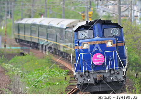 千歳線　北広島－島松　JR北海道　DD51-1095＋JR西日本　24系　トワイライトエクスプレス 124199532