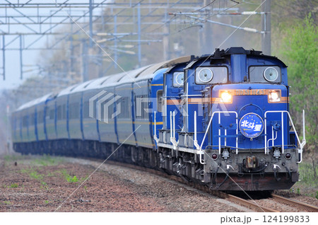 千歳線　植苗　JR北海道　DD51-1143（函館）＋JR東日本　24系（尾久）　北斗星 124199833