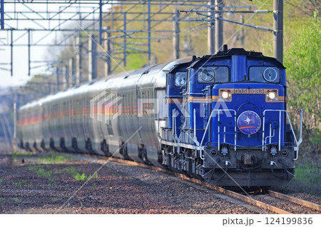 千歳線　植苗　JR北海道　DD51-1083（函館）＋JR東日本　E26系（尾久）　カシオペア 124199836