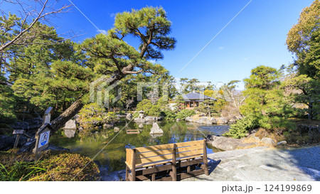葉山しおさい公園の早春 124199869