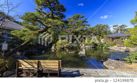 葉山しおさい公園の早春 124199870