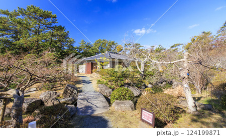 葉山しおさい公園の早春 124199871
