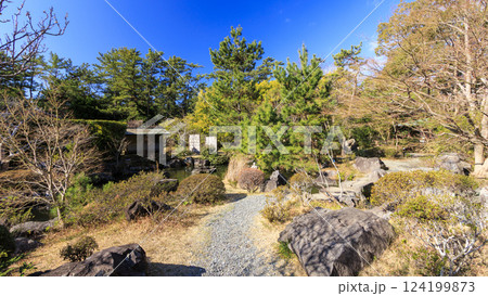 葉山しおさい公園の早春 124199873