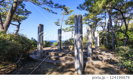 葉山しおさい公園の早春 124199879