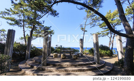 葉山しおさい公園の早春 124199880