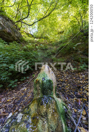 紅葉の白山白川郷ホワイトロード・姥ヶ滝周辺の自然 124200050