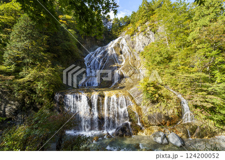 紅葉の白山白川郷ホワイトロード・姥ヶ滝 紅葉の白山白川郷ホワイトロード・姥ヶ滝 124200052