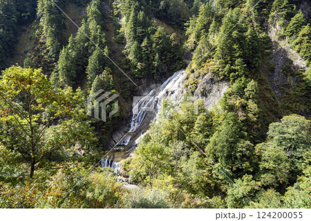 紅葉の白山白川郷ホワイトロード・姥ヶ滝 124200055