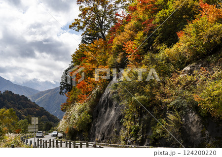 紅葉の白山白川郷ホワイトロード 紅葉の白山白川郷ホワイトロード 124200220