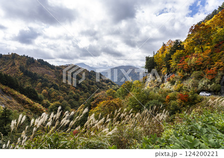 紅葉の白山白川郷ホワイトロード 紅葉の白山白川郷ホワイトロード 124200221