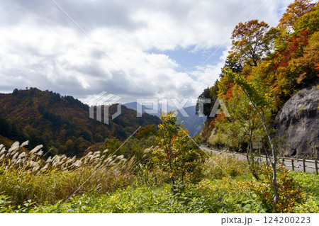 紅葉の白山白川郷ホワイトロード 紅葉の白山白川郷ホワイトロード 124200223