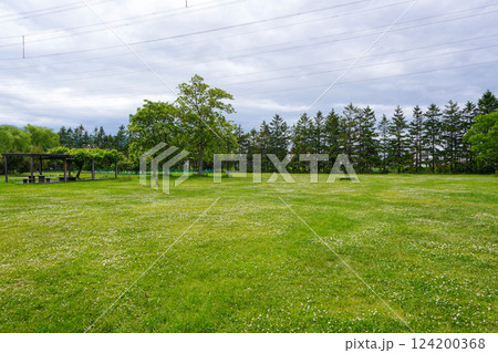 曇りの日の北発寒公園(札幌市手稲区) 曇りの日の北発寒公園(札幌市手稲区) 124200368