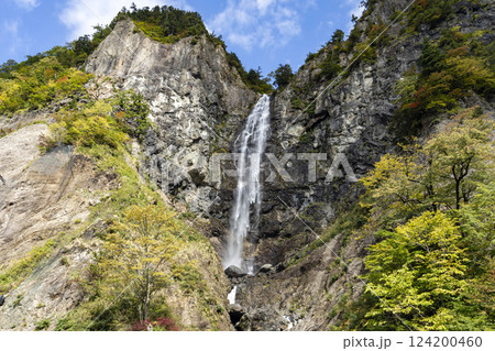 紅葉の白山白川郷ホワイトロード・ふくべ大滝 124200460