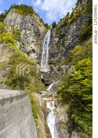 紅葉の白山白川郷ホワイトロード・ふくべ大滝 124200461