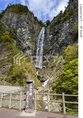 紅葉の白山白川郷ホワイトロード・ふくべ大滝 紅葉の白山白川郷ホワイトロード・ふくべ大滝 124200463