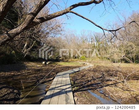 北本自然観察公園 木道 北本自然観察公園 木道 124200485