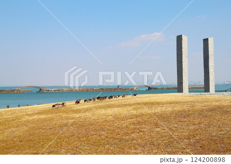 大津港と緑地公園（滋賀県） 124200898
