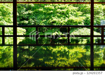 新緑が映る旧竹林院 新緑が映る旧竹林院 124201357