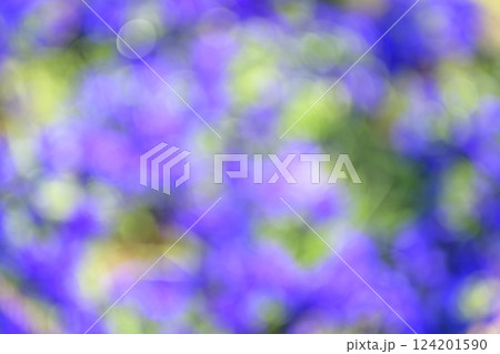 紫色 パープル 花 花畑 一面 単色 春 背景素材 124201590