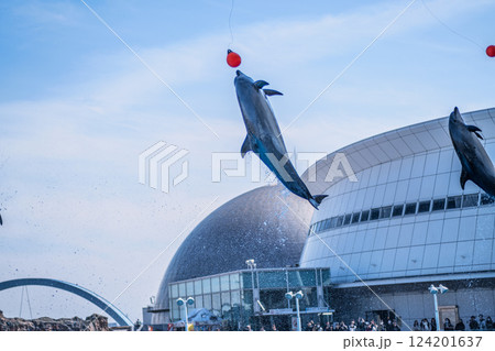 高くジャンプするイルカ(名古屋港水族館) 高くジャンプするイルカ(名古屋港水族館) 124201637