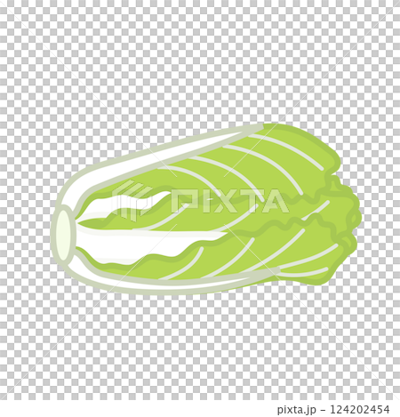 白菜のイラスト 124202454