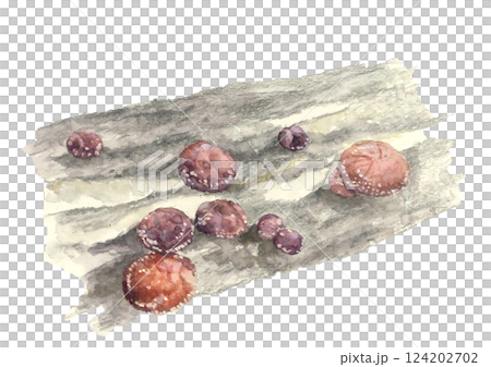 水彩で描いたホダ木で育つ椎茸【手描き】白バック 透過背景 124202702