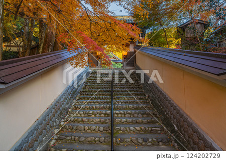 袋井市にある朝の参道から見た紅葉に包まれた油山寺の礼拝門の風景(静岡県) 124202729