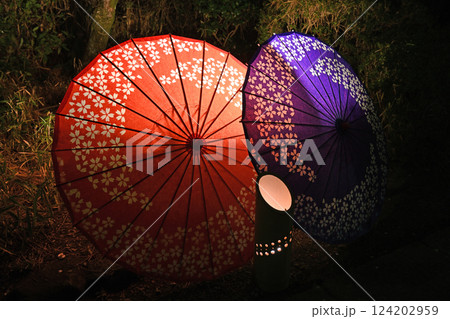 ライトアップされたカラフルな和傘 124202959