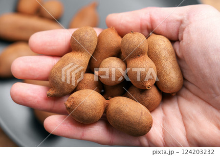Tamarind fruits (Tamarindus indica) in hands close up. Tropical harvest concept 124203232