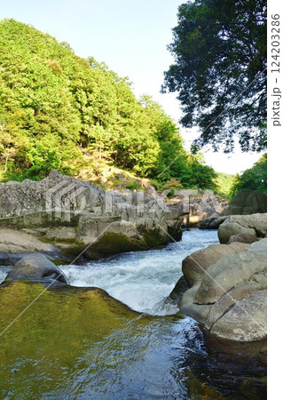 大瀧神社 大蛇ヶ淵(滋賀県) 大瀧神社 大蛇ヶ淵(滋賀県) 124203286