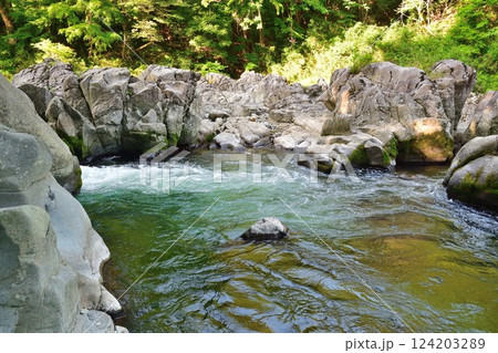 大瀧神社　大蛇ヶ淵（滋賀県） 124203289