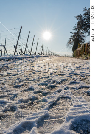 Footprints in snow. Footprints in snow. 124203300
