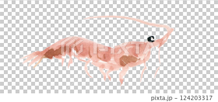 右向きの赤いエビ 右向きの赤いエビ 124203317