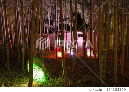 竹林に差し込む光とカラフルな和傘 124203369