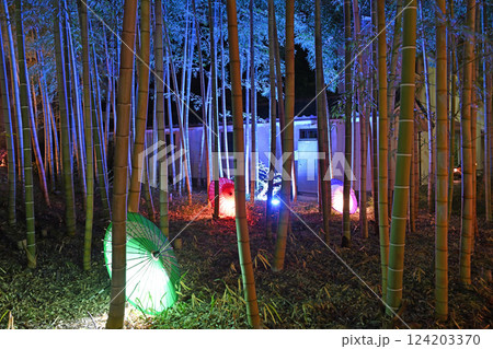 竹林に差し込む光とカラフルな和傘 124203370