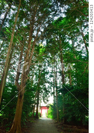 友八幡稲荷大社（滋賀県） 124203413