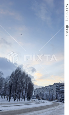 Blue sky with clouds, winter weather. Clouds on the background of trees. 124203475