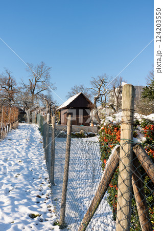 A small wooden house. 124203550
