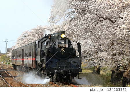 春の真岡鉄道SL 124203573