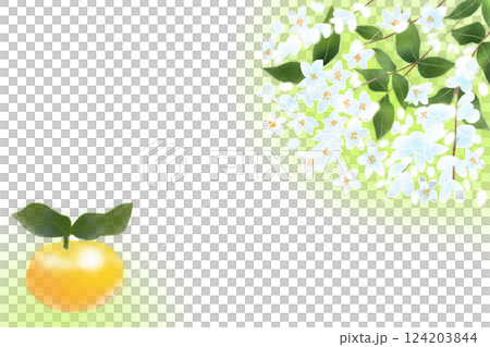 Yuzu Card 1 124203844