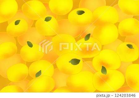 柚子(ユズ)のカード3 柚子(ユズ)のカード3 124203846