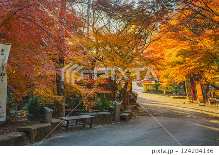 袋井市にある朝の紅葉に染まる油山寺の風景(静岡県) 124204136