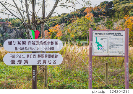 磐田市にある秋の桶ヶ谷沼の紅葉と看板の風景(静岡県) 磐田市にある秋の桶ヶ谷沼の紅葉と看板の風景(静岡県) 124204255