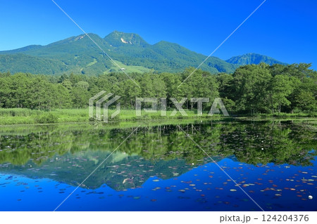 【新潟県】シンメトリーな妙高山（いもり池） 124204376