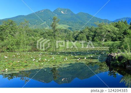【新潟県】シンメトリーな妙高山(いもり池) 【新潟県】シンメトリーな妙高山(いもり池) 124204385