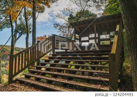 磐田市にある秋の桶ヶ谷沼の紅葉と観察小屋の風景(静岡県) 磐田市にある秋の桶ヶ谷沼の紅葉と観察小屋の風景(静岡県) 124204491