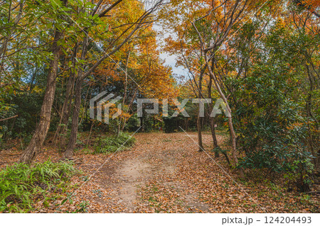 磐田市にある秋の桶ヶ谷沼の紅葉の風景(静岡県) 124204493