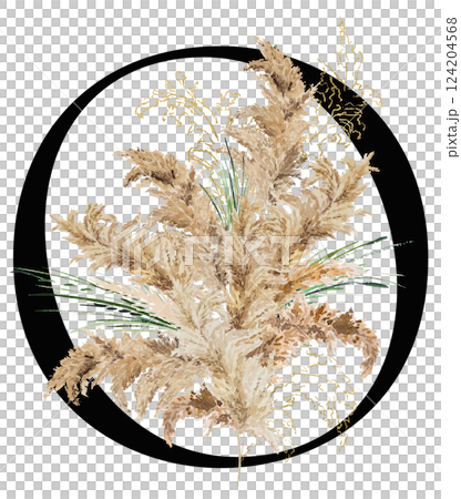 Black letter O with watercolor biege and golden dried pampas grass, tropical wedding illustration Black letter O with watercolor biege and golden dried pampas grass, tropical wedding illustration 124204568