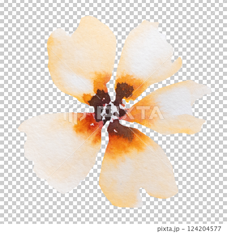 Watercolor orange wild flower isolated illustration, floral wedding and greeting element Watercolor orange wild flower isolated illustration, floral wedding and greeting element 124204577