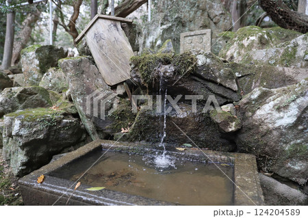 春日大社　奈良県　奈良市 春日野町 124204589